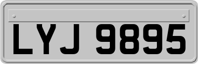 LYJ9895