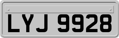 LYJ9928