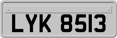 LYK8513