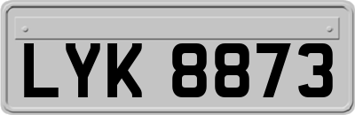 LYK8873
