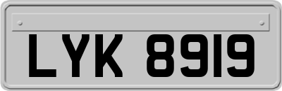 LYK8919
