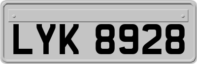 LYK8928