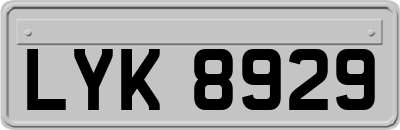 LYK8929