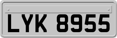 LYK8955