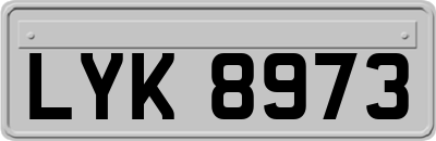 LYK8973