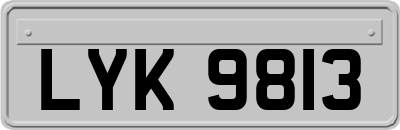 LYK9813