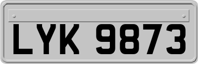 LYK9873