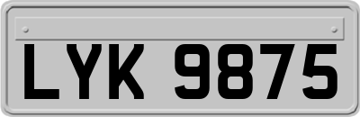 LYK9875