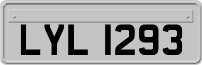 LYL1293