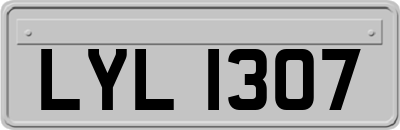 LYL1307