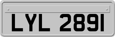 LYL2891