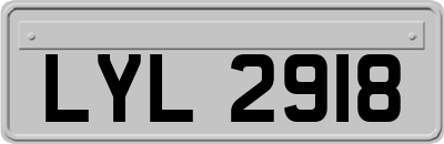 LYL2918