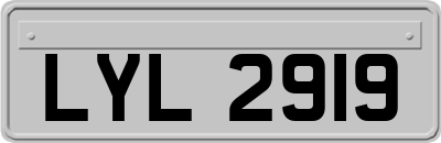 LYL2919