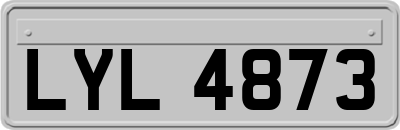 LYL4873