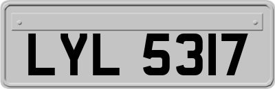 LYL5317