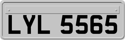 LYL5565