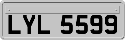 LYL5599