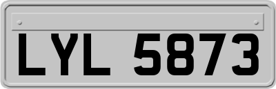 LYL5873