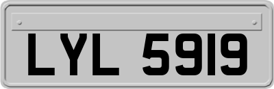 LYL5919