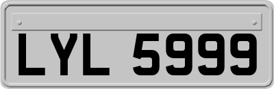 LYL5999