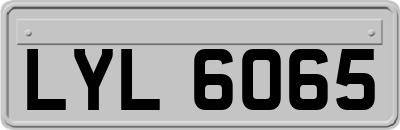 LYL6065