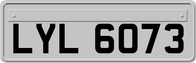 LYL6073