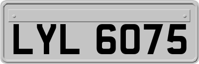 LYL6075