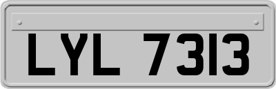 LYL7313