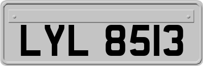LYL8513