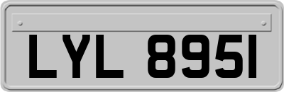 LYL8951