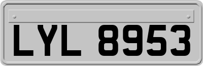 LYL8953