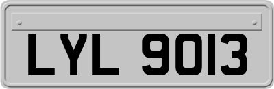 LYL9013