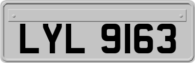 LYL9163