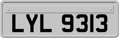 LYL9313