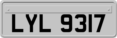 LYL9317