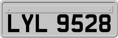 LYL9528