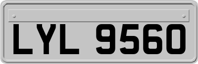 LYL9560