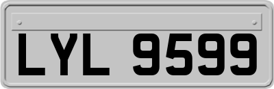 LYL9599