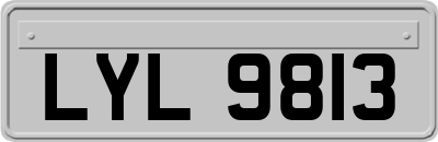 LYL9813