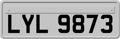 LYL9873