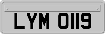 LYM0119