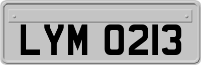 LYM0213