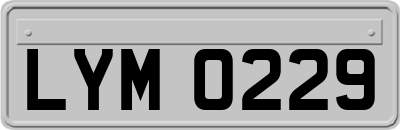 LYM0229