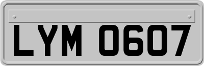 LYM0607