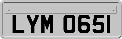 LYM0651