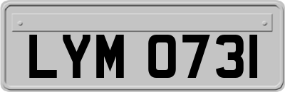 LYM0731