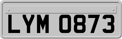 LYM0873