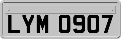 LYM0907