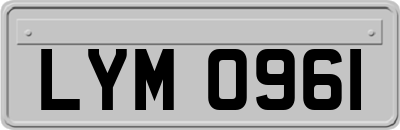 LYM0961