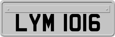 LYM1016